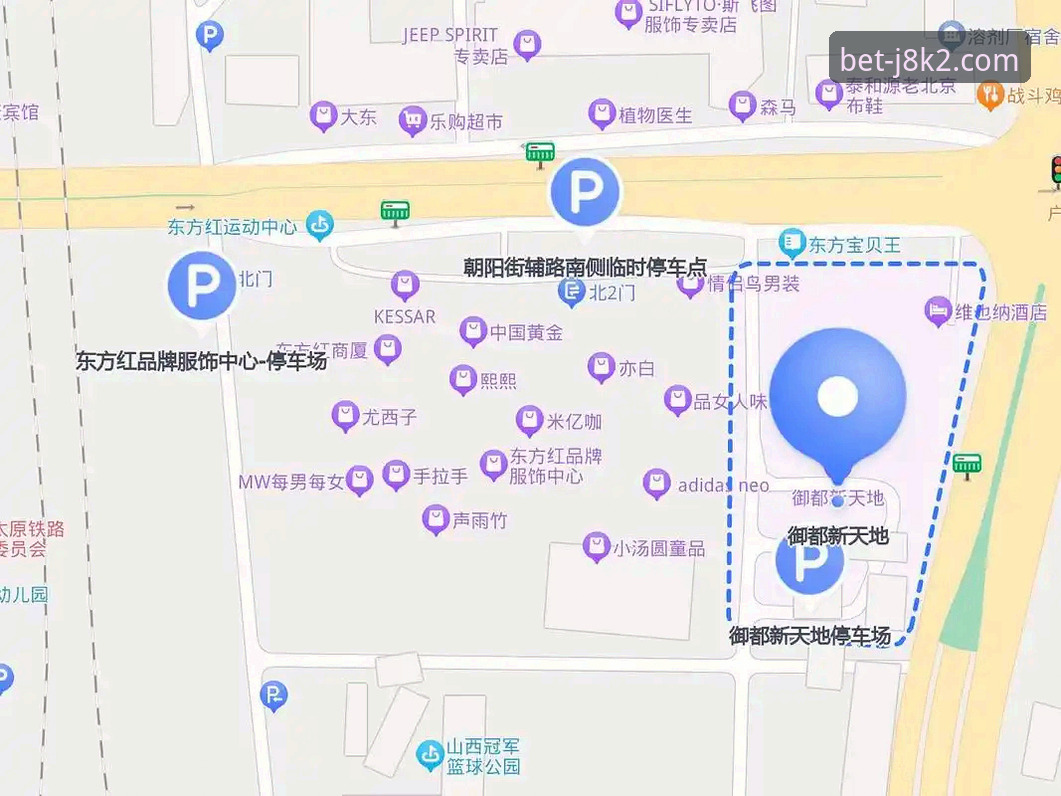 新2VIP服务对比完整指南：如何选择最适合你的专属投注方案