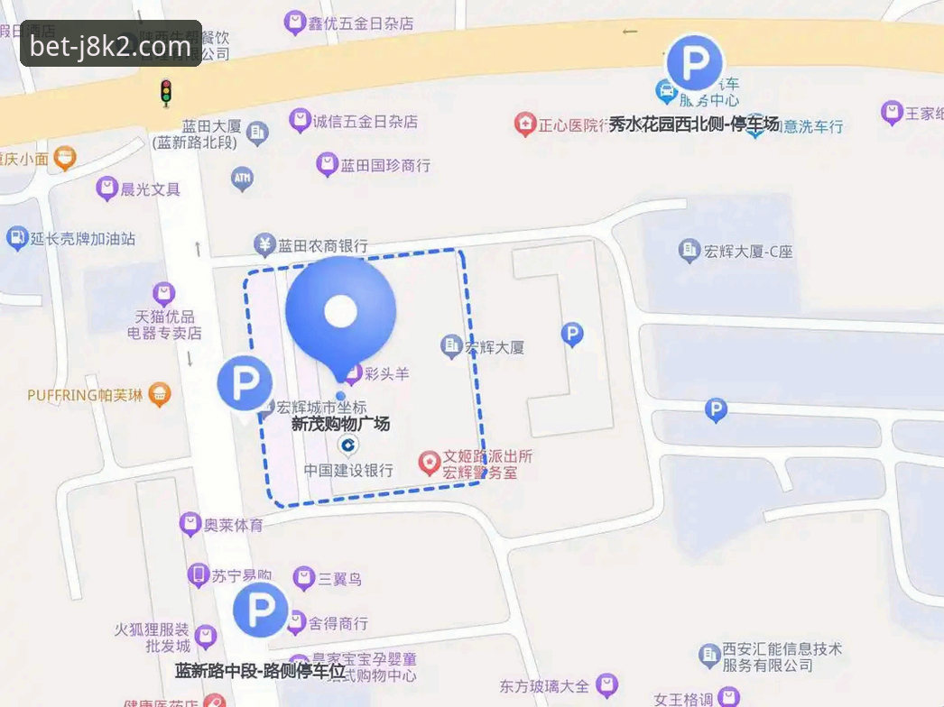 新2VIP服务对比完整指南：如何选择最适合你的专属投注方案